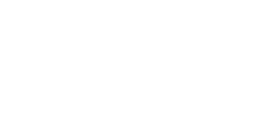 Canary Hotel logo